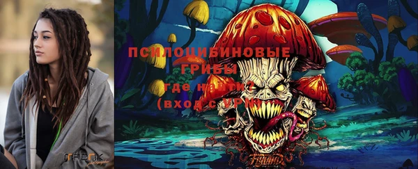 ГАЛЛЮЦИНОГЕННЫЕ ГРИБЫ Алексин
