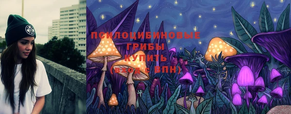 ГАЛЛЮЦИНОГЕННЫЕ ГРИБЫ Алексин