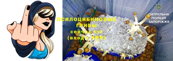 ГАЛЛЮЦИНОГЕННЫЕ ГРИБЫ Алексин