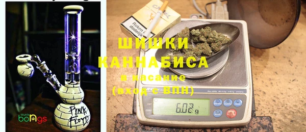 молекула духа Алзамай