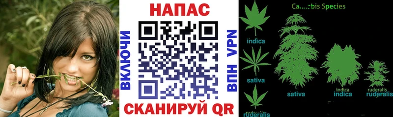 Каннабис ГИДРОПОН  Хвалынск 